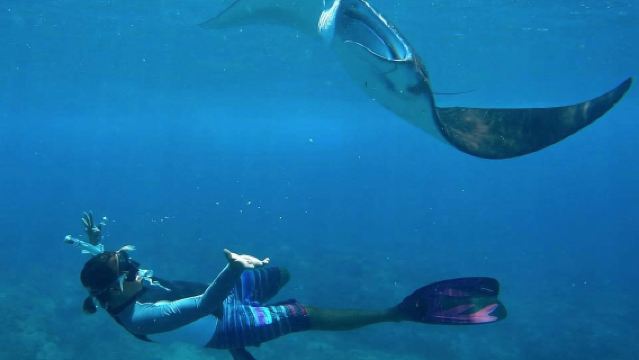Ab Blue Lagoon: 3 Schnorchelstellen auf Nusa Penida
