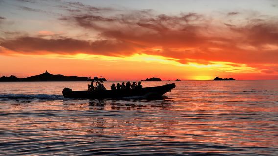 De Sagone/Cargèse: Aperitivo al atardecer en Scandola Piana con baño