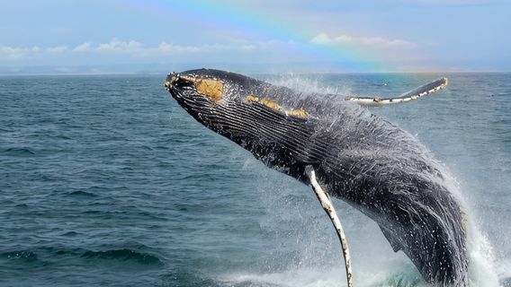 Monterey CountyTours