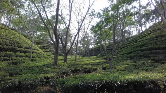 Dhaka