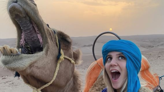 Agafay Desert Sunset Camel Ride with Dinner in Camp