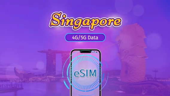 Singapura | Kartu SIM 4G/5G| Paket Harian/Paket Data| Penagihan 24 jam| 1-30 hari| Kode QR