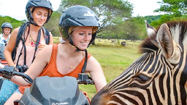 Depart from Port Louis - Chasing Dolphins by Speedboating+ Casela Nature Park one-day tour