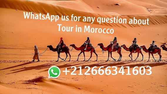 1 night Camel Treking in Merzouga Desert Luxury Camp