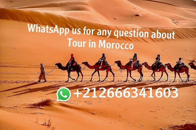 1 malam Camel Treking di Merzouga Desert Luxury Camp