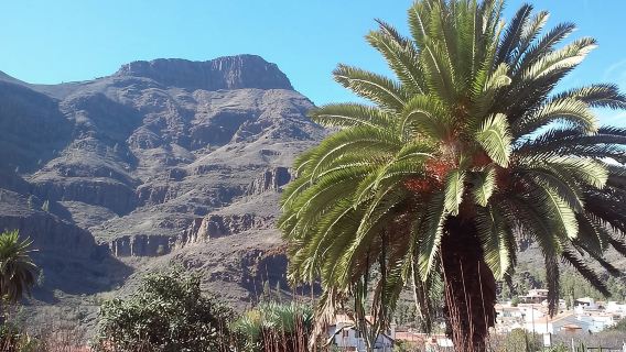 Full Day Across the Island Tour from Las Palmas