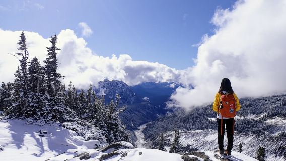 Das Beste aus dem Mount Rainier Nationalpark ab Seattle: All-inclusive-Kleingruppentour