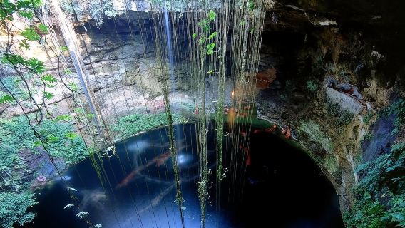 Pengembaraan mewah! 2 Cenote Suci, Chichen Itza dan Valladolid dari Bandar Tulum