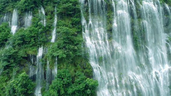 1-day tour to Qianlonggou Waterfall + Xitou Village + Baishuizhai Scenic Area [Summer Resort]