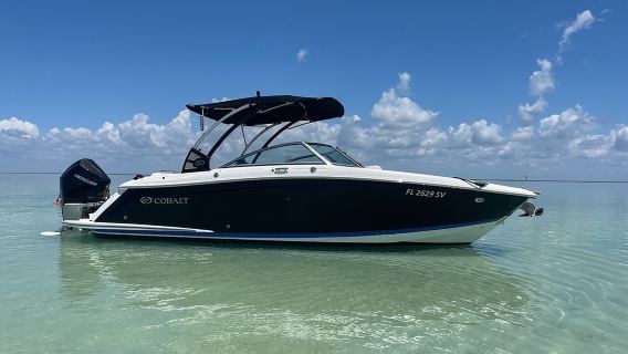 Экскурсия на закате с дельфинами в заливе Ки-Ларго