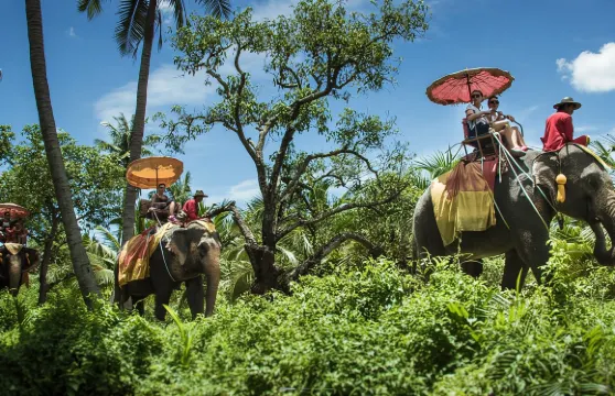 丹嫩沙朵大象園 騎大象-射擊場-ATV-迷你賽車-CHANG PUAK CAMP DAMNOEN SADUAK