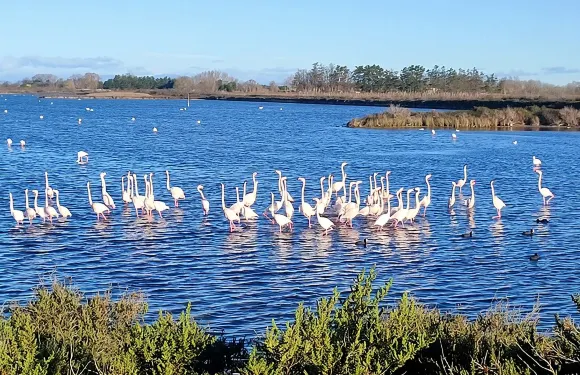 快樂之旅卡馬格：自行車和踏板車沉浸式體驗