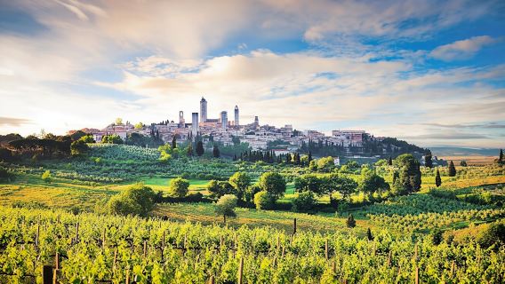 Jewels of Tuscany tour with lunch and wine tasting