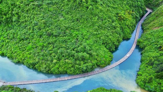 獅子關+伍家台+宣恩夜景一日遊【純玩-可選小團-贈設施景交】