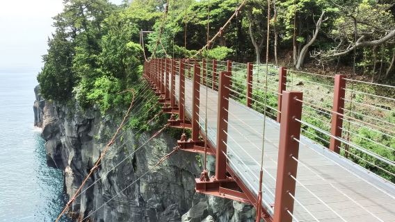 日本伊豆觀海列車+大室山+城崎海岸+門脅吊橋一日遊