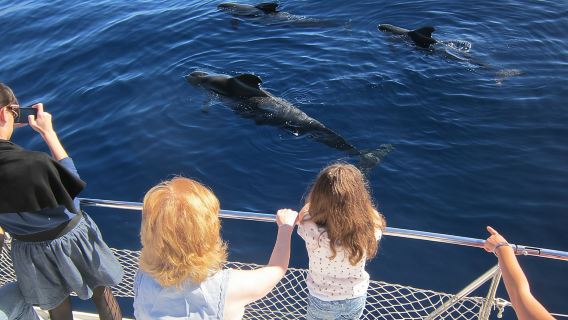 Most Famous Catamaran in Tenerife Island - Unlimited Drinks