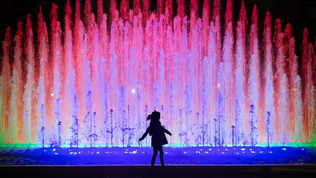 Magic Water & Laser Light Show Including Pickup And Drop-Off