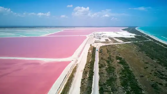Las Coloradas Pink Lake & Rio Lagartos Guided Tour 