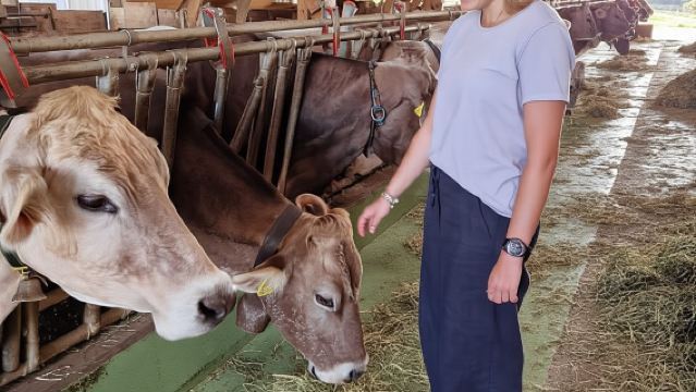 Lucerna: tour della campagna in piccoli gruppi con degustazione di formaggi