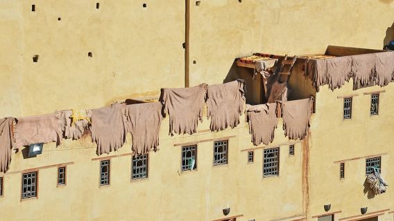 Fez: City Tour with Royal Palace, Mellah, and Medina