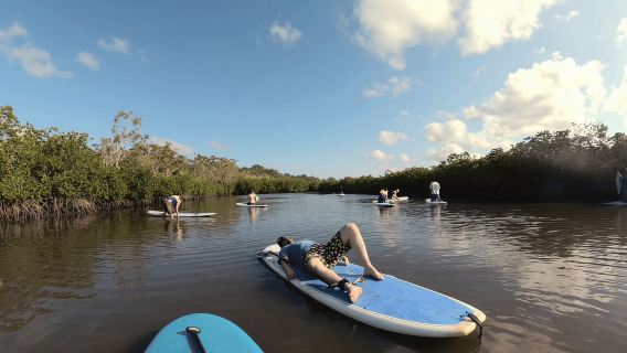 Noosa Stand Up Paddle & Mangroventunnel-Tour (vollständig geführt)