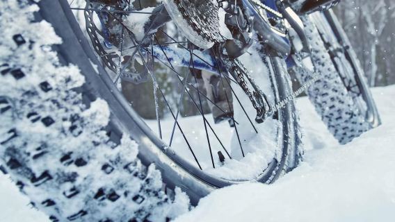 Luleå: Penyewaan Fatbike, terokai Luleå seperti Orang Tempatan!