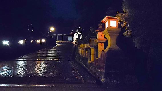 Nara: Geführter Nachtspaziergang – Schönheit in einer friedlichen Nacht