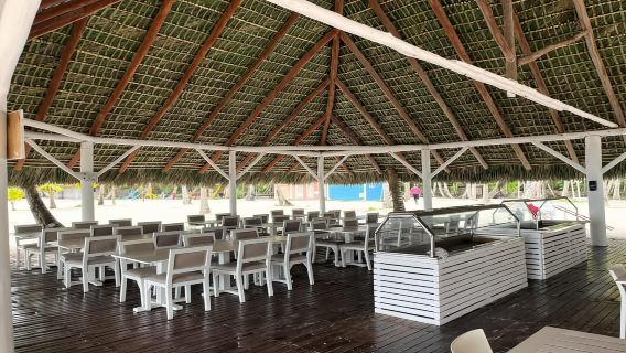 Wisata Sehari Pulau Saona dengan Makan Siang dan Bar Terbuka di Punta Cana