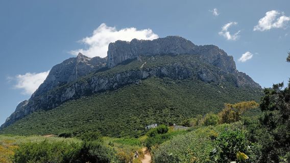 Half-day tour by dinghy in the Tavolara Marine Protected Area