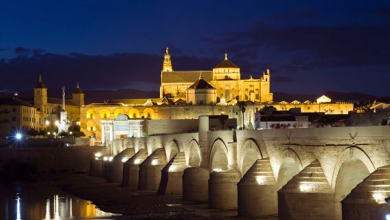 Da Málaga: tour guidato della Moschea di Cordova