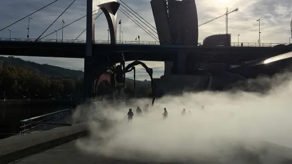 Бильбао: секреты Гуггенхайма и сокровища моря. VIP