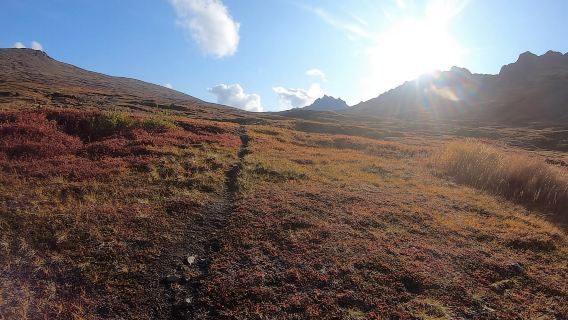 From Anchorage: Chugach State Park Guided Alpine Trek