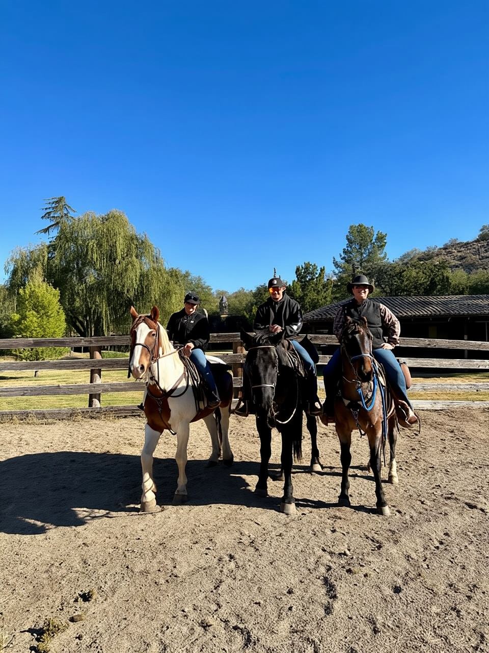 Tuscon: Rancho Cerros Horseback Riding Tout with Great Views