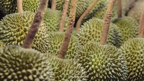 曼谷唐人街夜間美食之旅