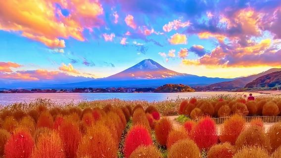 Mount Fuji Day Tour from Tokyo: Instagram-Famous Spot Hopping | Arakurayama Sengen Park&Hikawa Clock Shop&Oshino Hakkai&Kawaguchiko Lawson&Lake Kawaguchi Oishi Park