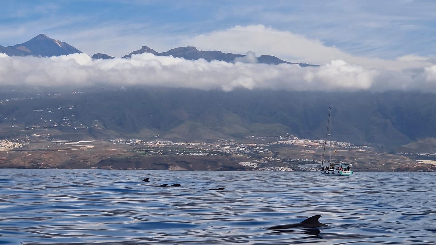 Tenerife: Ocean Pack Jet Ski and Yacht Whale Watching