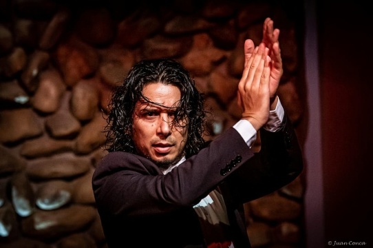 Malaga: Pertunjukan Flamenco Autentik di El Gallo Ronco