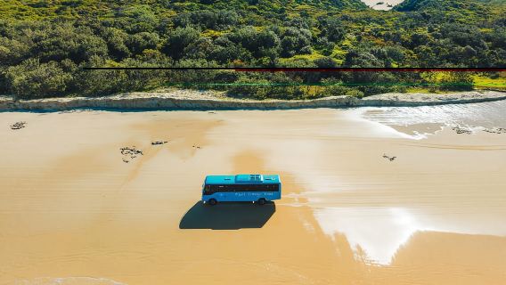 From Rainbow Beach: K'gari Fraser Island Full-Day Coach Tour