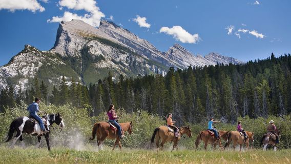 Banff: Paseo a caballo de 3 horas por el circuito Bow Valley