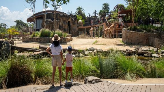 Taronga Zoo Sydney General Admission Tickets