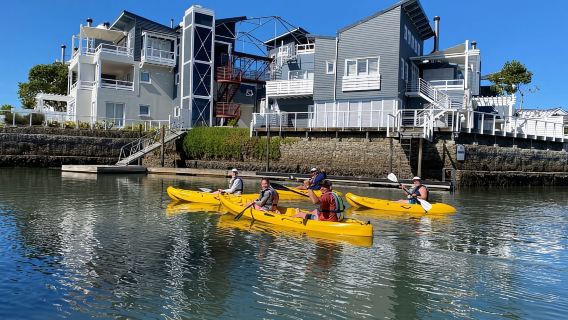 Sewaan Kayak Knysna