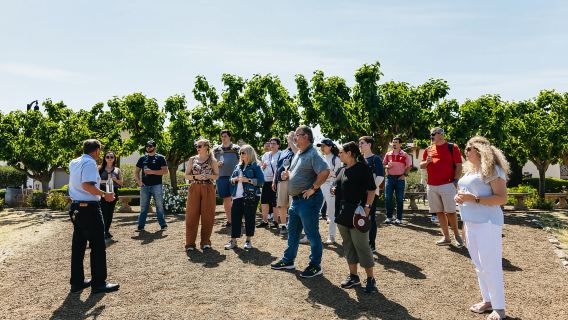 San Francisco: Tour Rượu Vang Muir Woods, Napa & Thung Lũng Sonoma