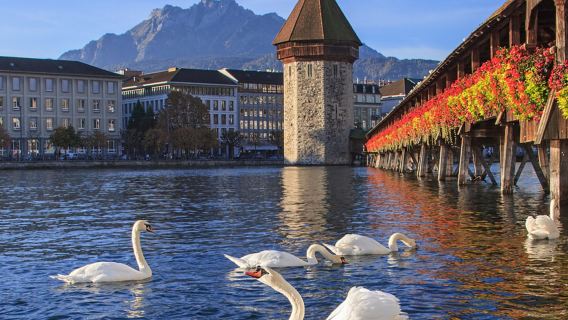 perjalanan satu hari Gunung Rigi dan Lucerne dari Zurich atau Lucerne