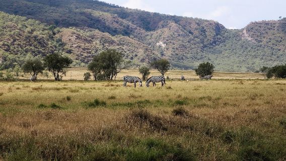 Private Hiking Day Trip to Mt. Longonot from Nairobi