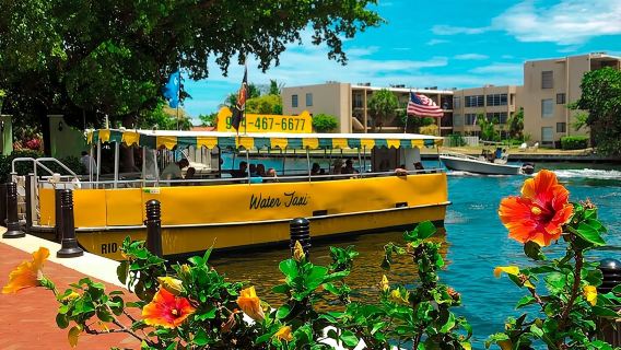 Tour in barca hop-on hop-off di Venezia d'America tutto il giorno in taxi acqueo