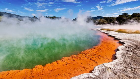 WaiotapuTours