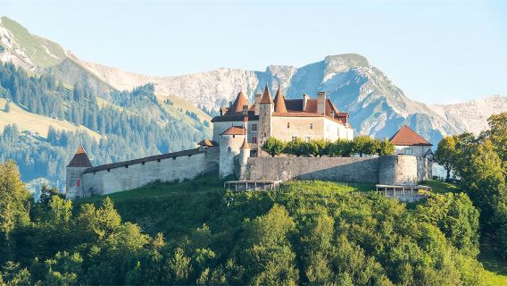 Schloss Gruyère + Gruyèrehaus + Kathedrale von Lausanne + Olympisches Museum