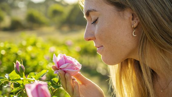 ทัวร์นำชมฟาร์ม Jurlique ในเมืองแอดิเลด 1.5 ชั่วโมง พร้อมสำรวจฟาร์มและเรื่องราวเบื้องหลัง