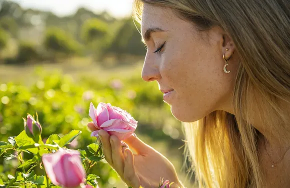 阿德萊德茱莉蔻農場1.5小時導覽之旅 探索農場+背後的故事