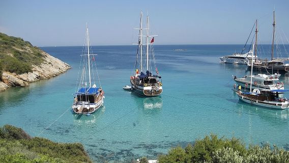 Bodrum Private Gulet Tour with Lunch